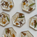 Floral Coasters (Set of 4)-Blessed And Pressed