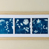 Floral Cyanotype Art-Blessed And Pressed